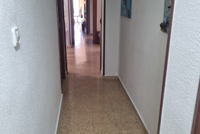 WhatsApp Image 2026-09-29 at 12.11.11 (4)